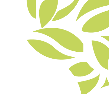 carre forme vert inverse